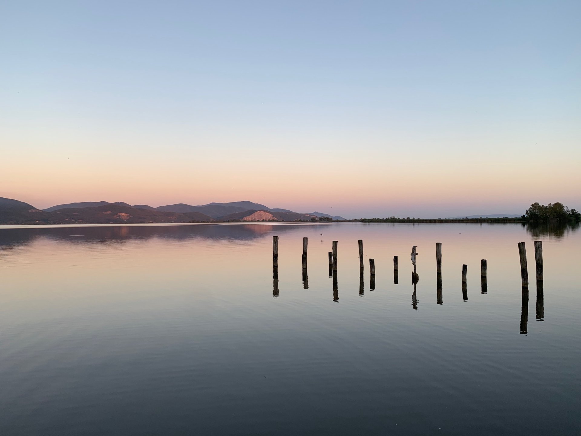 massaciuccoli